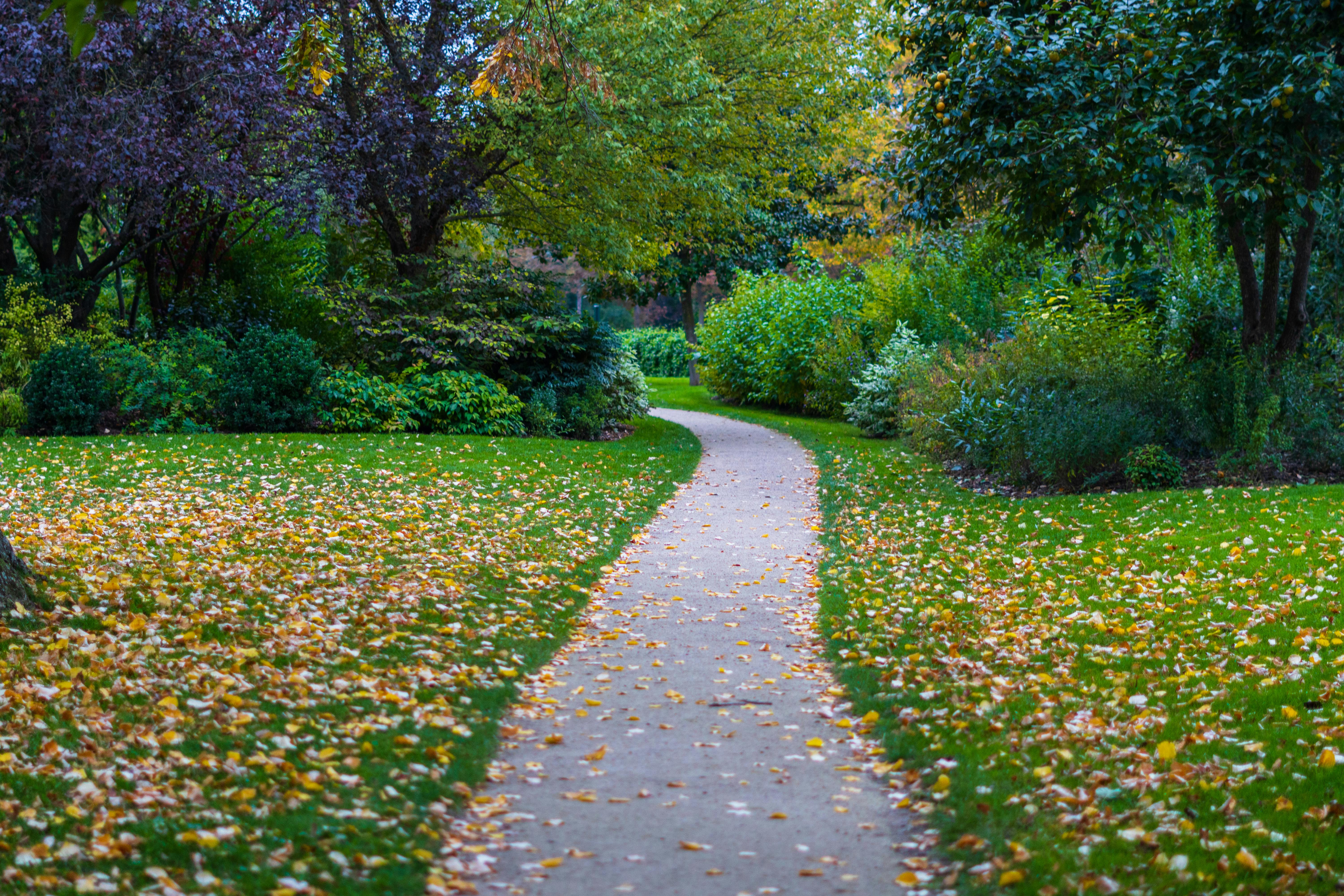 Paris in Bloom: A Guide to the City’s Most Stunning Gardens